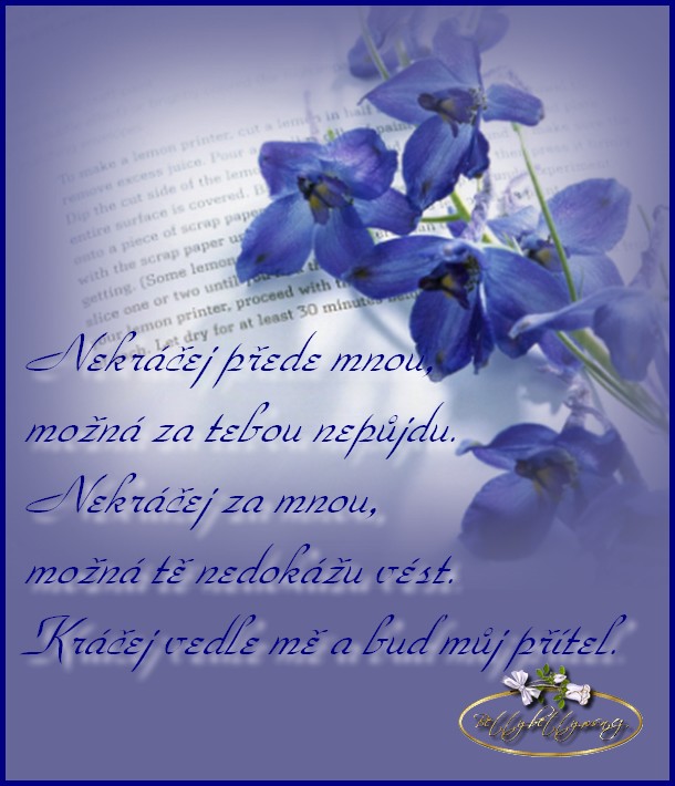 přátelství