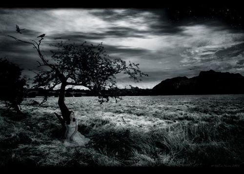6a482f169c_62300576_o2