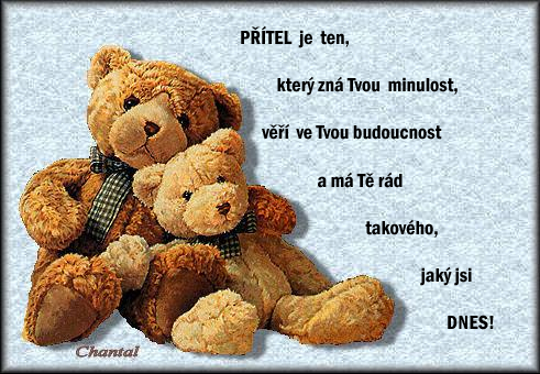 kdo je přítel