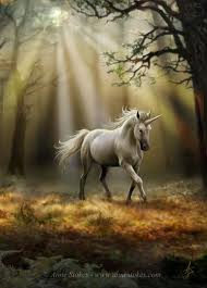 imagesCATEW1BG