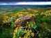 imagesCAWA932Z