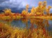 imagesCAXEQN11